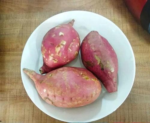 免费吃瓜地瓜,畅享田园美味新体验  第1张