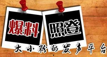 重庆今日爆料新闻最新,考古专家揭秘千年之谜  第1张